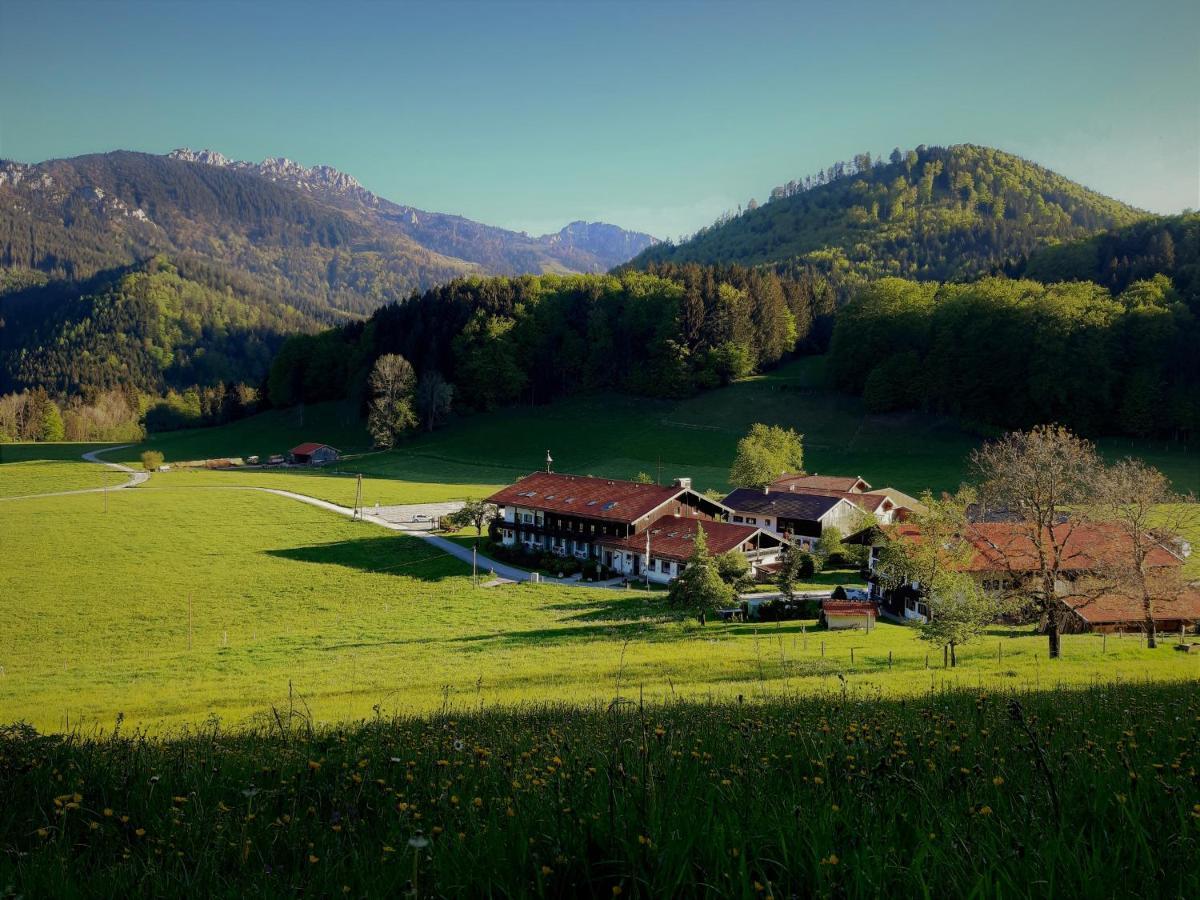 Apartamento Gschwendtnerhof App10 Krausw Aschau im Chiemgau Exterior foto